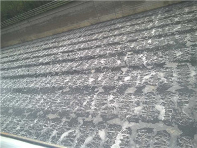 曝气池改造案例